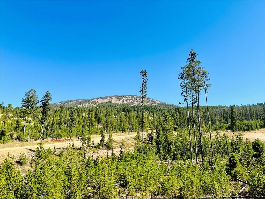 Nhn Silvantite Lane Lot 3, Anaconda, Montana 59711, Anaconda, Montana 59711, ,Land,For Sale,Nhn Silvantite Lane Lot 3, Anaconda, Montana 59711,0,405227