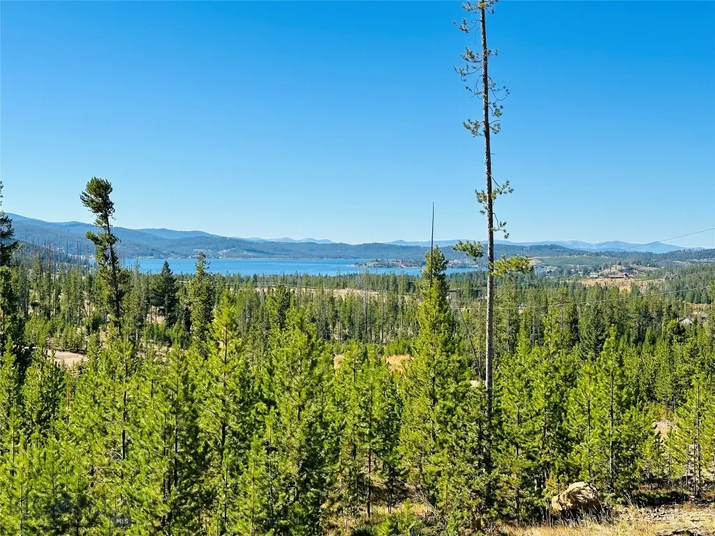 Nhn Silvantite Lane Lot 3, Anaconda, Montana 59711, Anaconda, Montana 59711, ,Land,For Sale,Nhn Silvantite Lane Lot 3, Anaconda, Montana 59711,0,405227