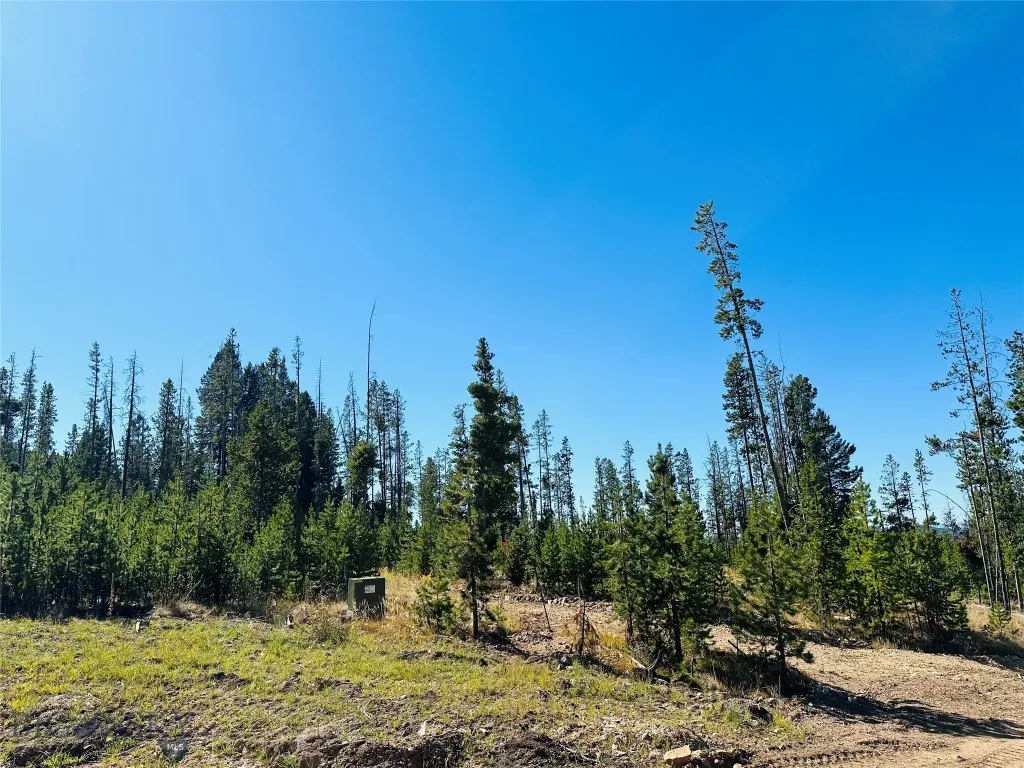 Nhn Argentite Lane Lot 16, Anaconda, Montana 59711, Anaconda, Montana 59711, ,Land,For Sale,Nhn Argentite Lane Lot 16, Anaconda, Montana 59711,0,405232