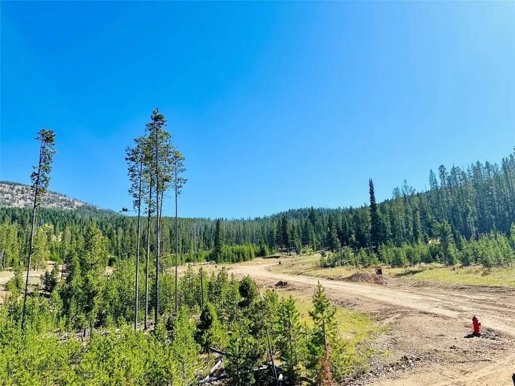 Nhn Argentite Lane Lot 13, Anaconda, Montana 59711, Anaconda, Montana 59711, ,Land,For Sale,Nhn Argentite Lane Lot 13, Anaconda, Montana 59711,0,405234