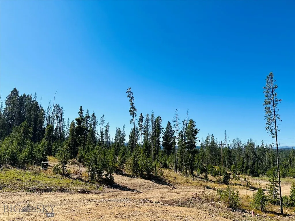 Nhn Argentite Lane Lot 13, Anaconda, Montana 59711, Anaconda, Montana 59711, ,Land,For Sale,Nhn Argentite Lane Lot 13, Anaconda, Montana 59711,0,405234