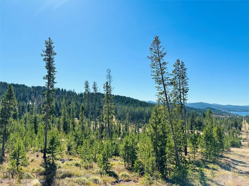 Nhn Calcite Lane Lot 23, Anaconda, Montana 59711, Anaconda, Montana 59711, ,Land,For Sale,Nhn Calcite Lane Lot 23, Anaconda, Montana 59711,0,405235