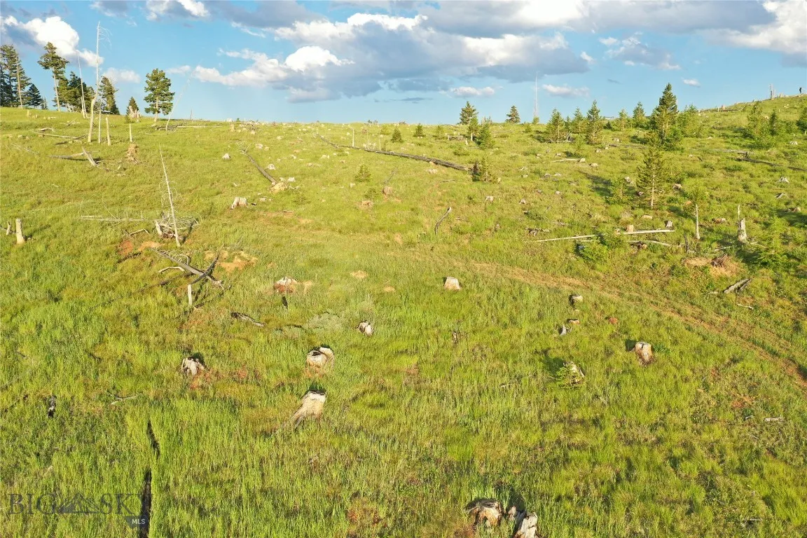 1 Garnet Range Tract, Drummond, Montana 59832, Drummond, Montana 59832, ,Land,For Sale,1 Garnet Range Tract, Drummond, Montana 59832,0,405268