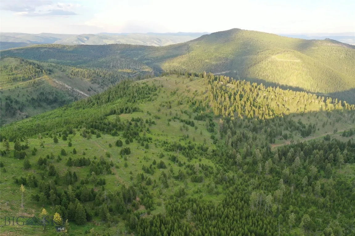 2 Tract, Drummond, Montana 59832, Drummond, Montana 59832, ,Land,For Sale,2 Tract, Drummond, Montana 59832,0,405114