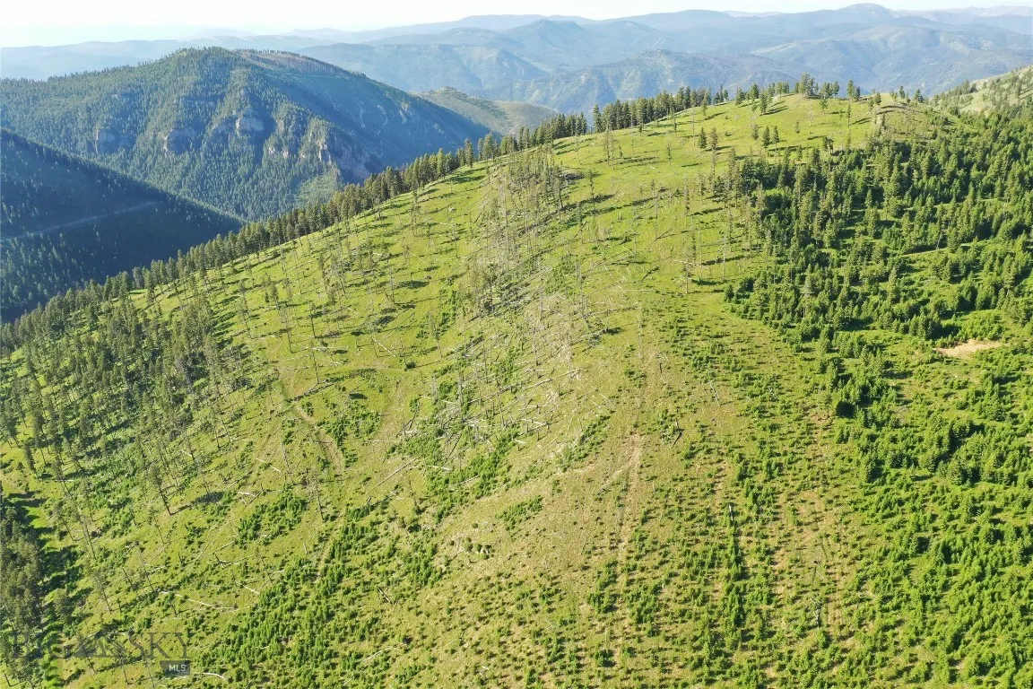 2 Tract, Drummond, Montana 59832, Drummond, Montana 59832, ,Land,For Sale,2 Tract, Drummond, Montana 59832,0,405114