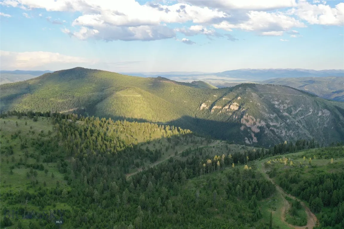 2 Tract, Drummond, Montana 59832, Drummond, Montana 59832, ,Land,For Sale,2 Tract, Drummond, Montana 59832,0,405114