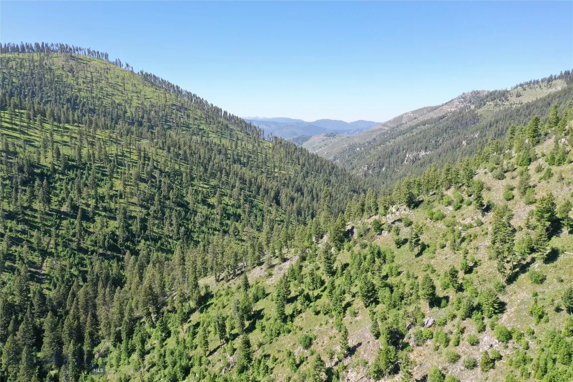 7 Tract, Drummond, Montana 59832, Drummond, Montana 59832, ,Land,For Sale,7 Tract, Drummond, Montana 59832,0,405117