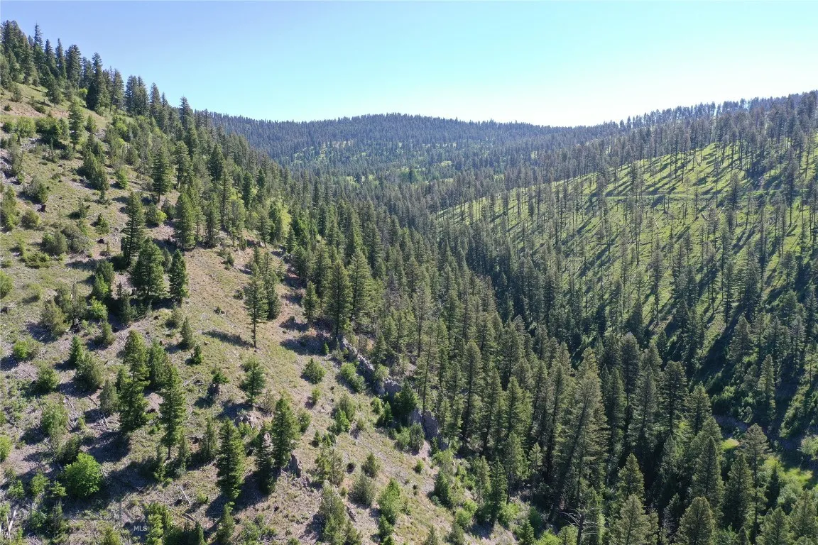 7 Tract, Drummond, Montana 59832, Drummond, Montana 59832, ,Land,For Sale,7 Tract, Drummond, Montana 59832,0,405117