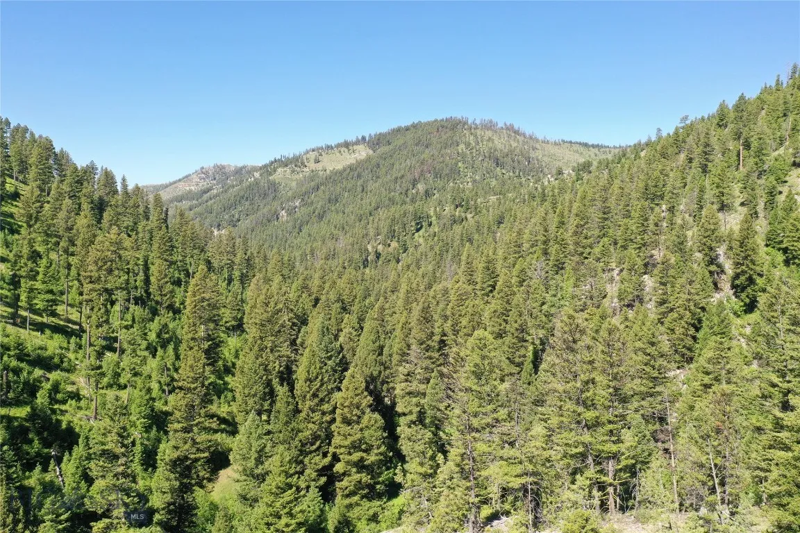 7 Tract, Drummond, Montana 59832, Drummond, Montana 59832, ,Land,For Sale,7 Tract, Drummond, Montana 59832,0,405117