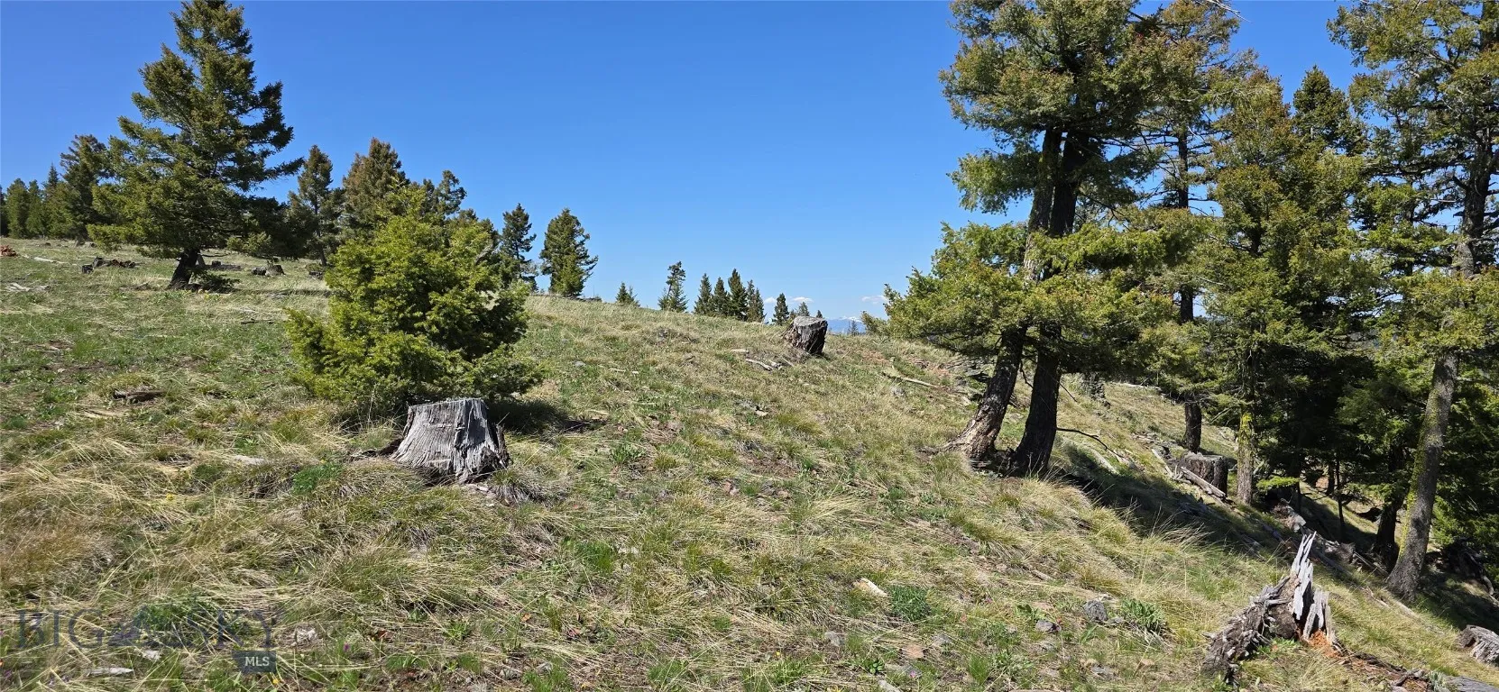 9 Garnet Range Tract, Drummond, Montana 59832, Drummond, Montana 59832, ,Land,For Sale,9 Garnet Range Tract, Drummond, Montana 59832,0,405278