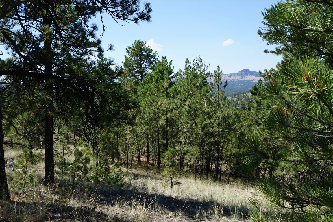Tbd Ridge Crest Lane, Cascade, Montana 59421, Cascade, Montana 59421, ,Land,For Sale,Tbd Ridge Crest Lane, Cascade, Montana 59421,0,405430