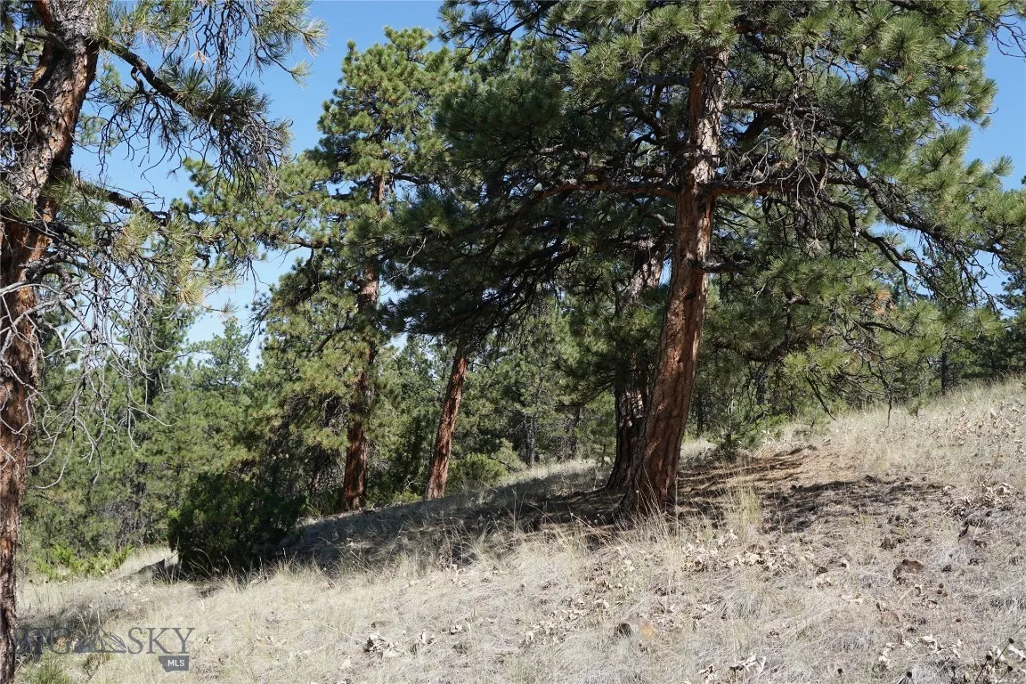 Tbd Ridge Crest Lane, Cascade, Montana 59421, Cascade, Montana 59421, ,Land,For Sale,Tbd Ridge Crest Lane, Cascade, Montana 59421,0,405430
