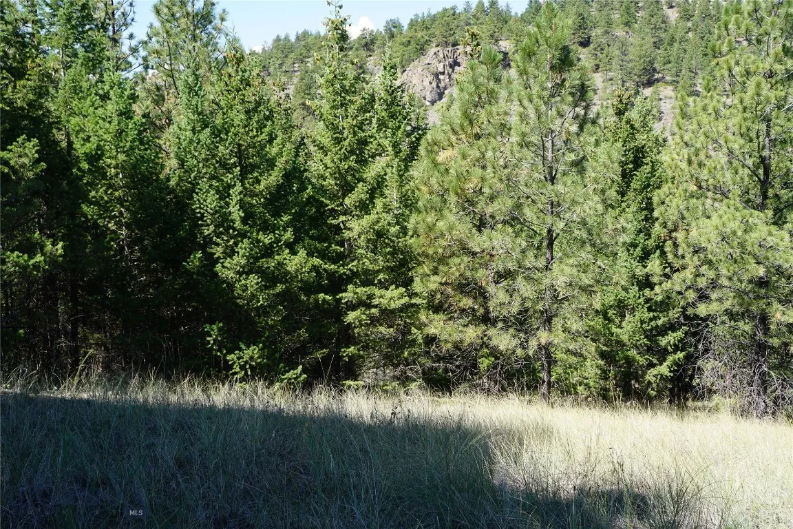 Tbd Ridge Crest Lane, Cascade, Montana 59421, Cascade, Montana 59421, ,Land,For Sale,Tbd Ridge Crest Lane, Cascade, Montana 59421,0,405430