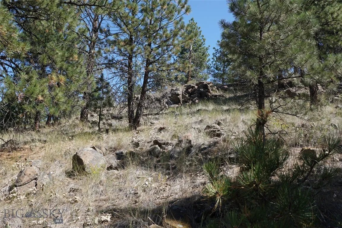 Tbd Ridge Crest Lane, Cascade, Montana 59421, Cascade, Montana 59421, ,Land,For Sale,Tbd Ridge Crest Lane, Cascade, Montana 59421,0,405430