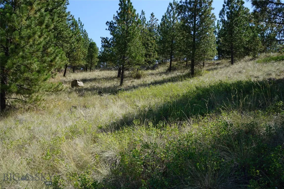 Tbd Ridge Crest Lane, Cascade, Montana 59421, Cascade, Montana 59421, ,Land,For Sale,Tbd Ridge Crest Lane, Cascade, Montana 59421,0,405430