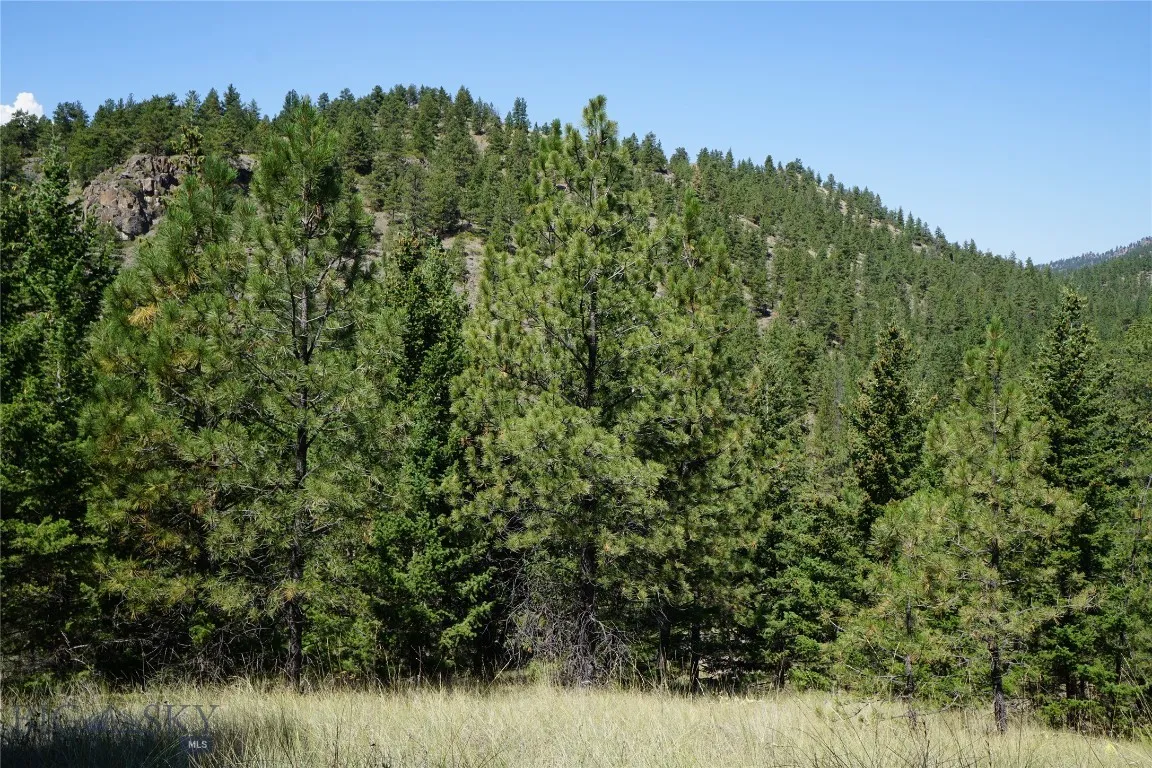 Tbd Ridge Crest Lane, Cascade, Montana 59421, Cascade, Montana 59421, ,Land,For Sale,Tbd Ridge Crest Lane, Cascade, Montana 59421,0,405430