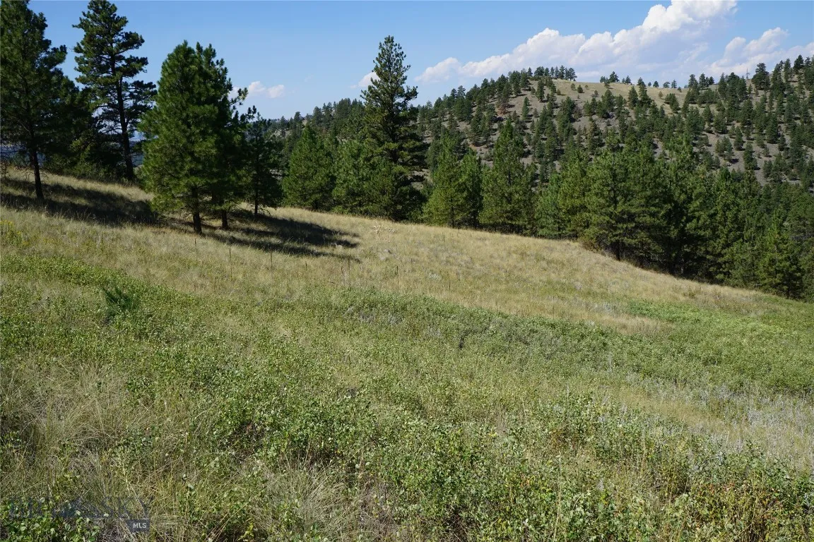 Tbd Ridge Crest Lane, Cascade, Montana 59421, Cascade, Montana 59421, ,Land,For Sale,Tbd Ridge Crest Lane, Cascade, Montana 59421,0,405430