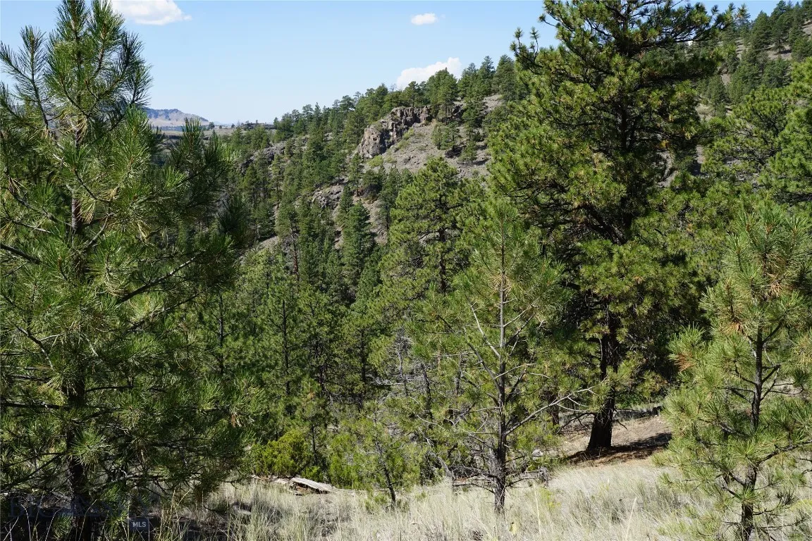 Tbd Ridge Crest Lane, Cascade, Montana 59421, Cascade, Montana 59421, ,Land,For Sale,Tbd Ridge Crest Lane, Cascade, Montana 59421,0,405430