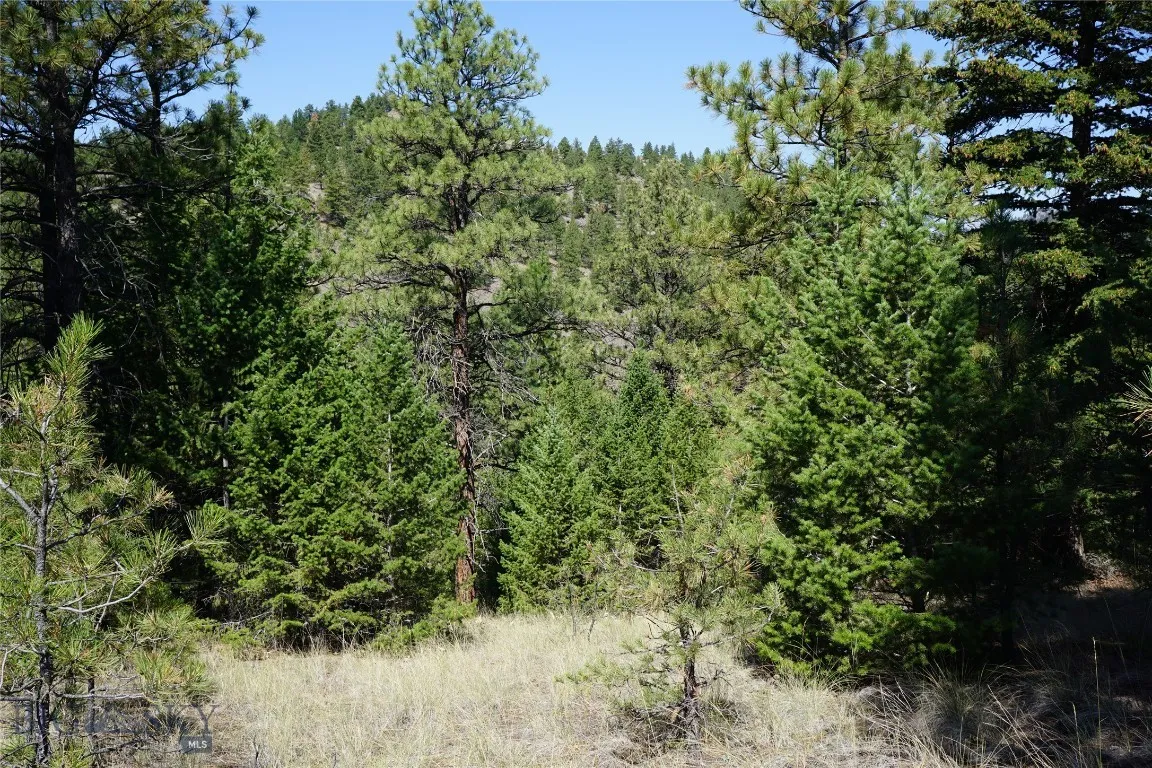 Tbd Ridge Crest Lane, Cascade, Montana 59421, Cascade, Montana 59421, ,Land,For Sale,Tbd Ridge Crest Lane, Cascade, Montana 59421,0,405430