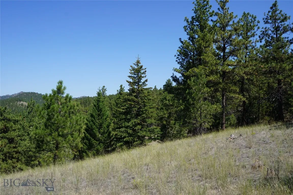 Tbd Ridge Crest Lane, Cascade, Montana 59421, Cascade, Montana 59421, ,Land,For Sale,Tbd Ridge Crest Lane, Cascade, Montana 59421,0,405430