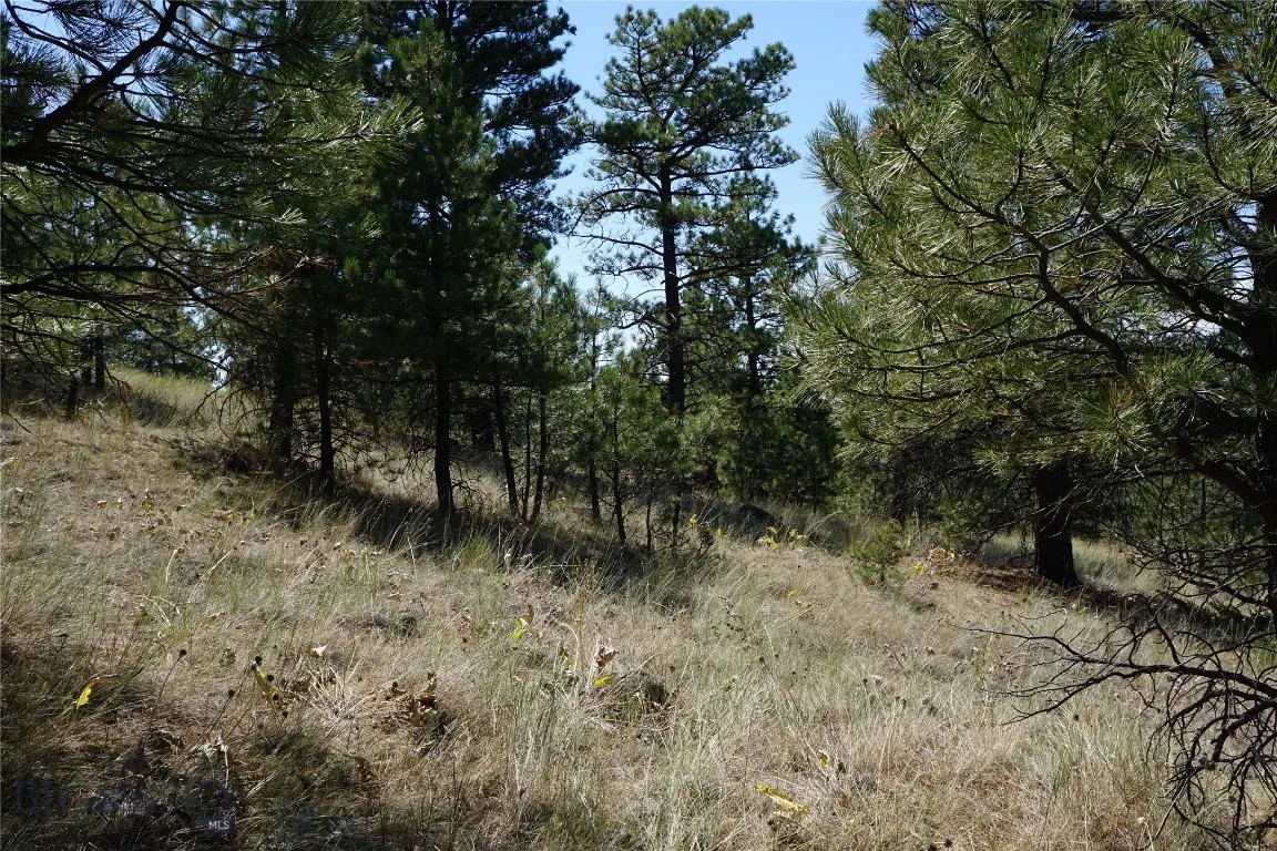 Tbd Ridge Crest Lane, Cascade, Montana 59421, Cascade, Montana 59421, ,Land,For Sale,Tbd Ridge Crest Lane, Cascade, Montana 59421,0,405430