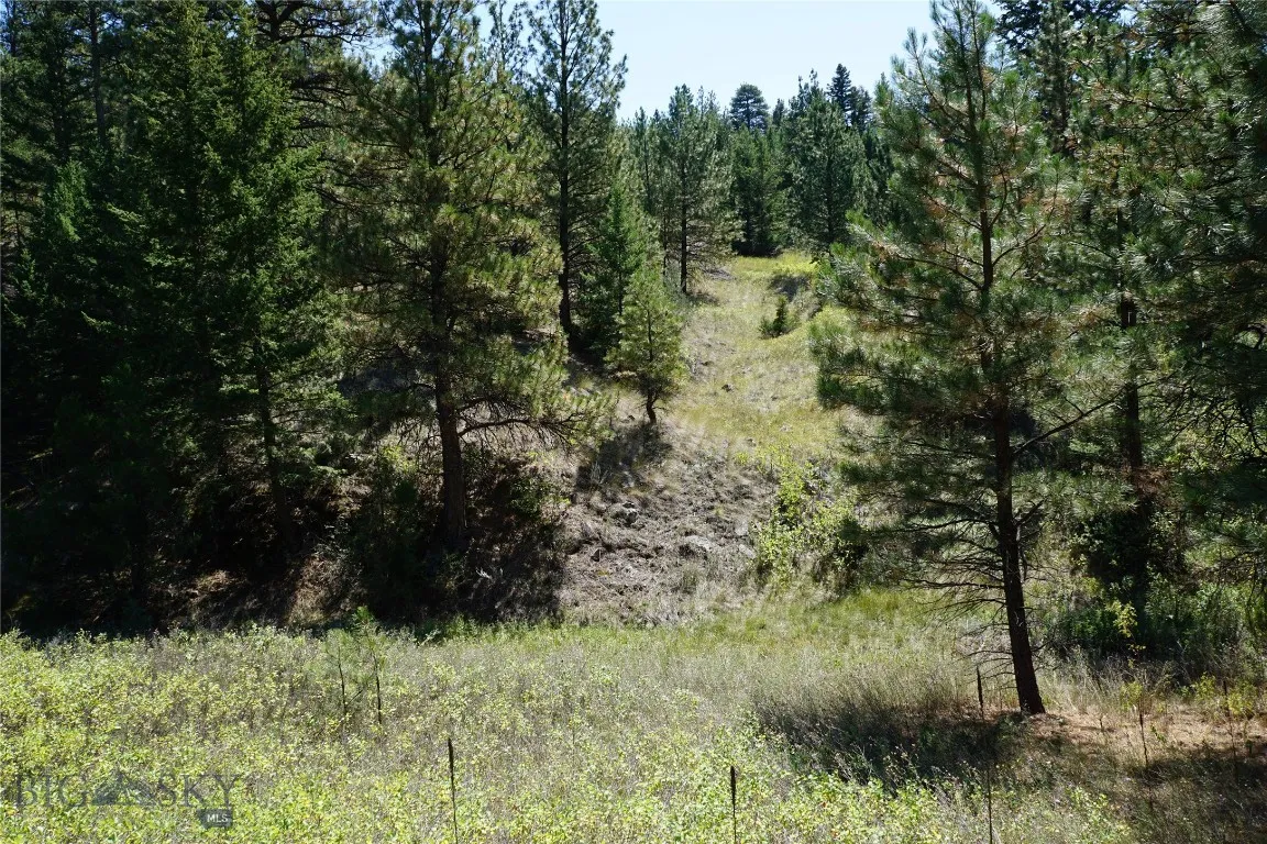 Tbd Ridge Crest Lane, Cascade, Montana 59421, Cascade, Montana 59421, ,Land,For Sale,Tbd Ridge Crest Lane, Cascade, Montana 59421,0,405430
