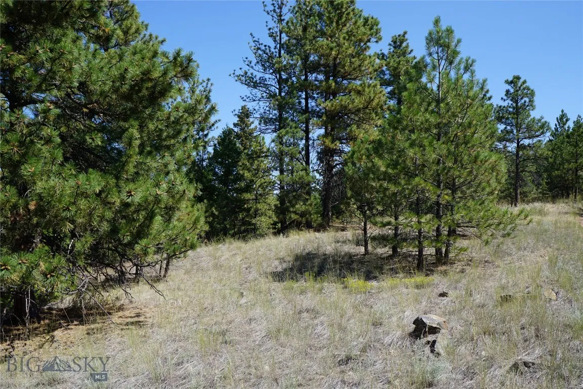 Tbd Ridge Crest Lane, Cascade, Montana 59421, Cascade, Montana 59421, ,Land,For Sale,Tbd Ridge Crest Lane, Cascade, Montana 59421,0,405430