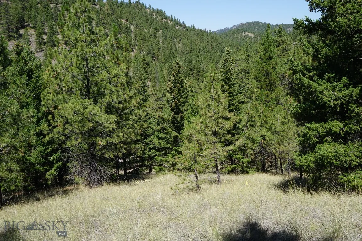 Tbd Ridge Crest Lane, Cascade, Montana 59421, Cascade, Montana 59421, ,Land,For Sale,Tbd Ridge Crest Lane, Cascade, Montana 59421,0,405430