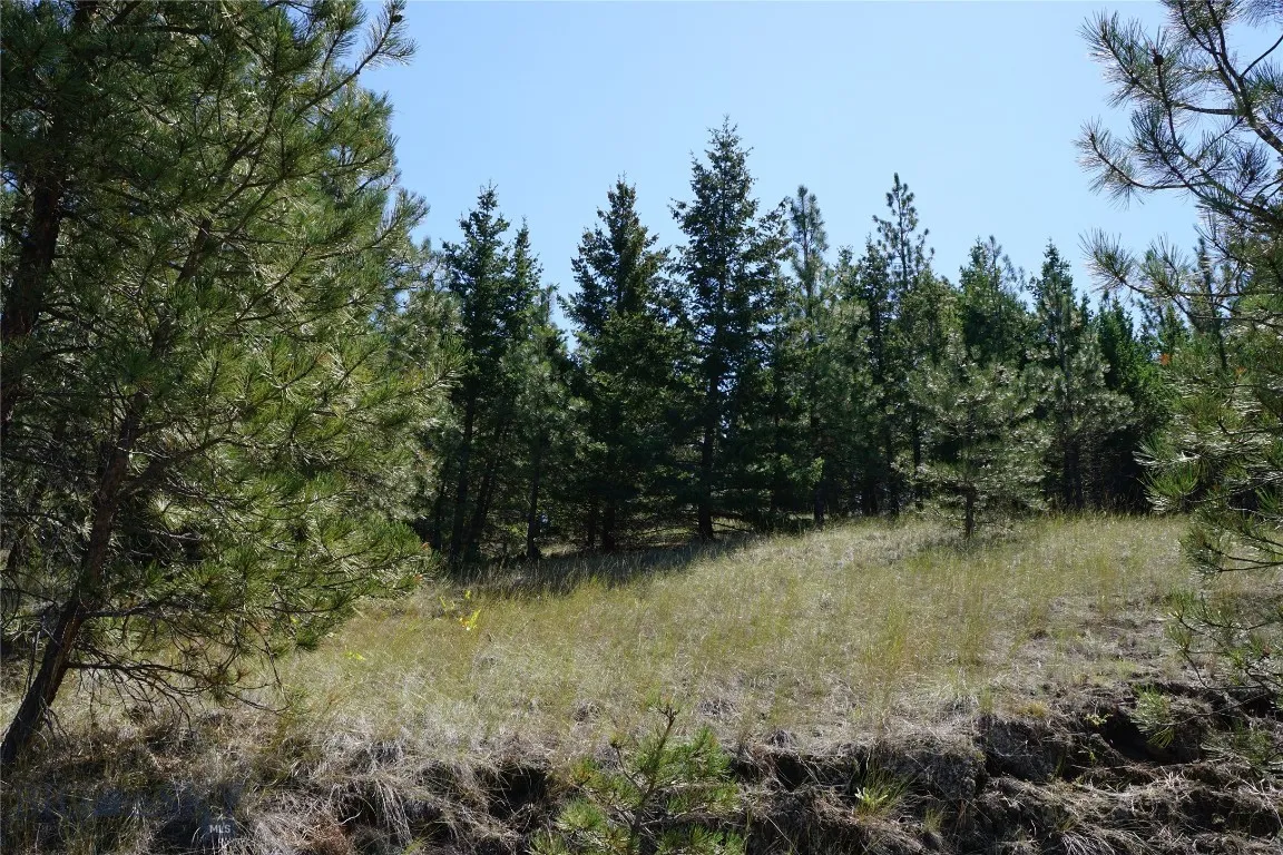Tbd Ridge Crest Lane, Cascade, Montana 59421, Cascade, Montana 59421, ,Land,For Sale,Tbd Ridge Crest Lane, Cascade, Montana 59421,0,405430