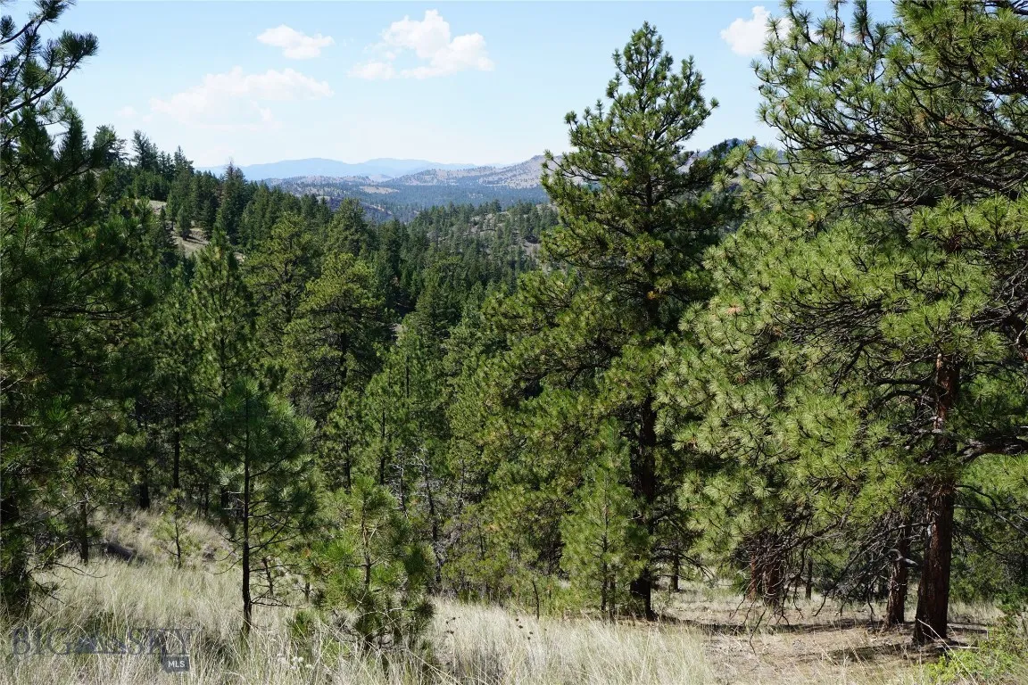 Tbd Ridge Crest Lane, Cascade, Montana 59421, Cascade, Montana 59421, ,Land,For Sale,Tbd Ridge Crest Lane, Cascade, Montana 59421,0,405430