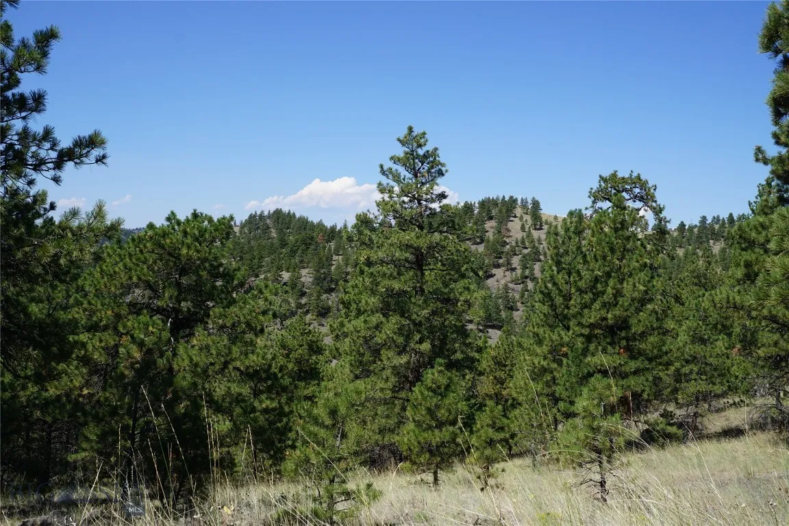 Tbd Ridge Crest Lane, Cascade, Montana 59421, Cascade, Montana 59421, ,Land,For Sale,Tbd Ridge Crest Lane, Cascade, Montana 59421,0,405430