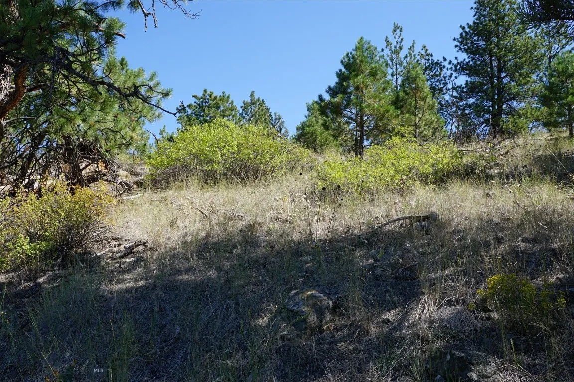 Tbd Ridge Crest Lane, Cascade, Montana 59421, Cascade, Montana 59421, ,Land,For Sale,Tbd Ridge Crest Lane, Cascade, Montana 59421,0,405430