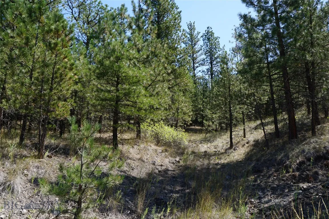 Tbd Ridge Crest Lane, Cascade, Montana 59421, Cascade, Montana 59421, ,Land,For Sale,Tbd Ridge Crest Lane, Cascade, Montana 59421,0,405430