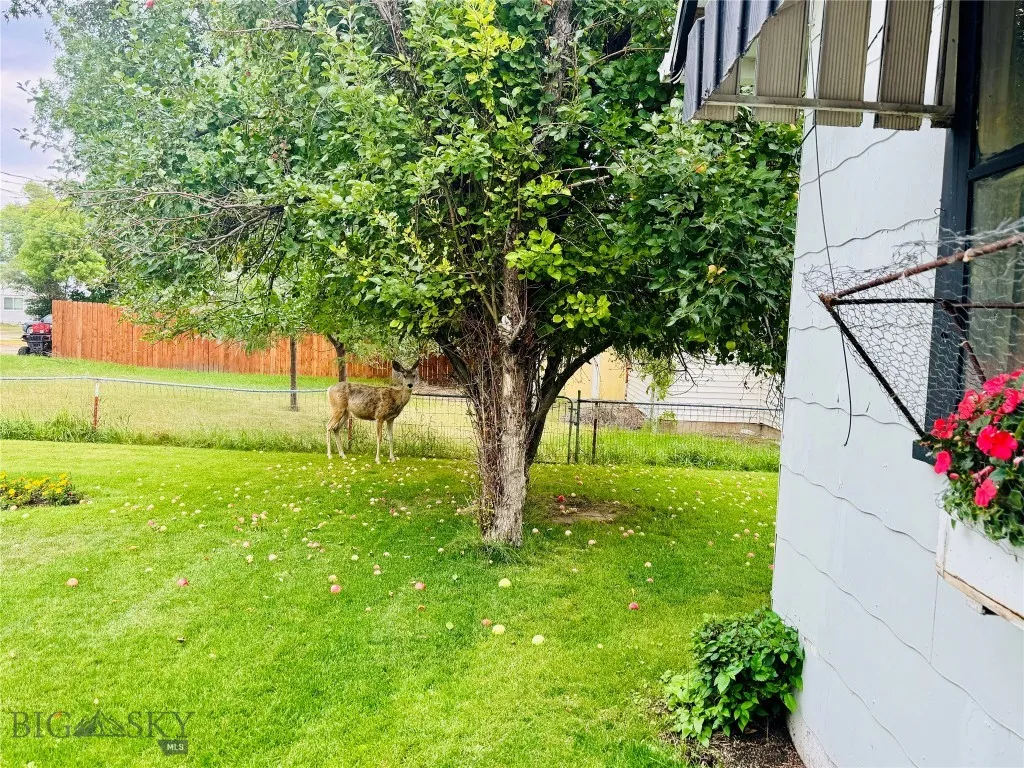 714 Front Street, Fort Benton, Montana 59442, Fort Benton, Montana 59442, 2 Bedrooms Bedrooms, ,1 BathroomBathrooms,Residential,For Sale,714 Front Street, Fort Benton, Montana 59442,0,405445