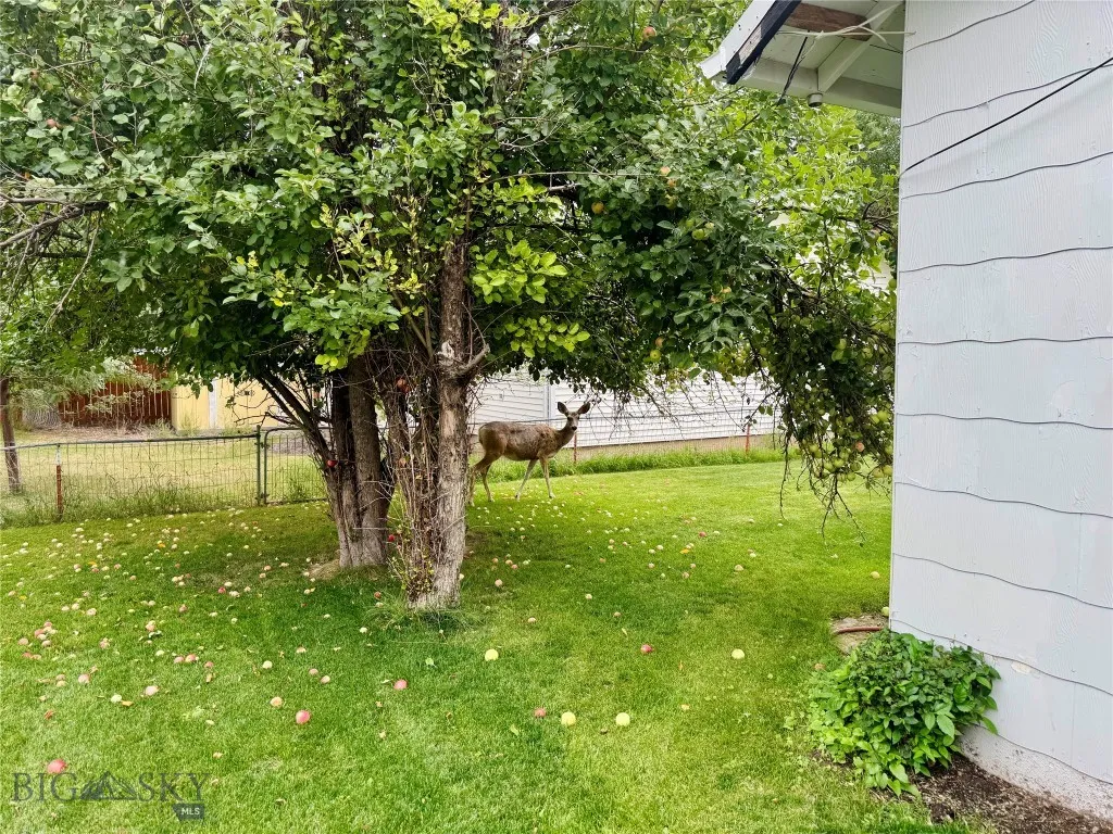 714 Front Street, Fort Benton, Montana 59442, Fort Benton, Montana 59442, 2 Bedrooms Bedrooms, ,1 BathroomBathrooms,Residential,For Sale,714 Front Street, Fort Benton, Montana 59442,0,405445