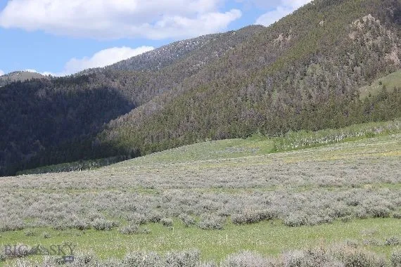 Parcel A54 Sportsman's Paradise, Cameron, Montana, Cameron, Montana 59720, ,Land,For Sale,Parcel A54 Sportsman's Paradise, Cameron, Montana ,0,405482