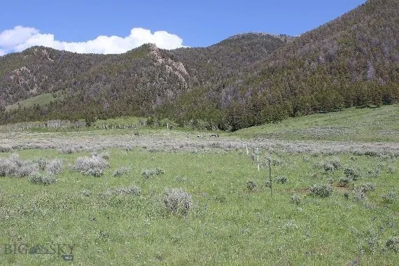 Parcel A55 Sportsman's Paradise, Cameron, Montana, Cameron, Montana 59720, ,Land,For Sale,Parcel A55 Sportsman's Paradise, Cameron, Montana ,0,405481