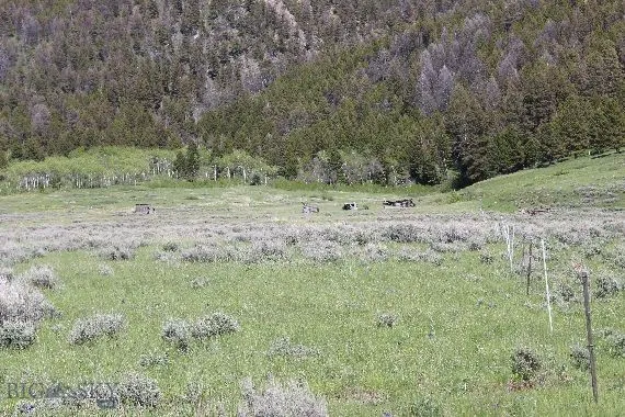 Parcel A55 Sportsman's Paradise, Cameron, Montana, Cameron, Montana 59720, ,Land,For Sale,Parcel A55 Sportsman's Paradise, Cameron, Montana ,0,405481