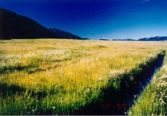 Parcel A55 Sportsman's Paradise, Cameron, Montana, Cameron, Montana 59720, ,Land,For Sale,Parcel A55 Sportsman's Paradise, Cameron, Montana ,0,405481