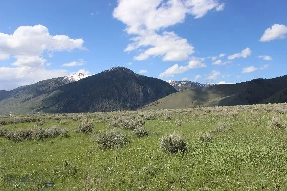 Parcel A55 Sportsman's Paradise, Cameron, Montana, Cameron, Montana 59720, ,Land,For Sale,Parcel A55 Sportsman's Paradise, Cameron, Montana ,0,405481