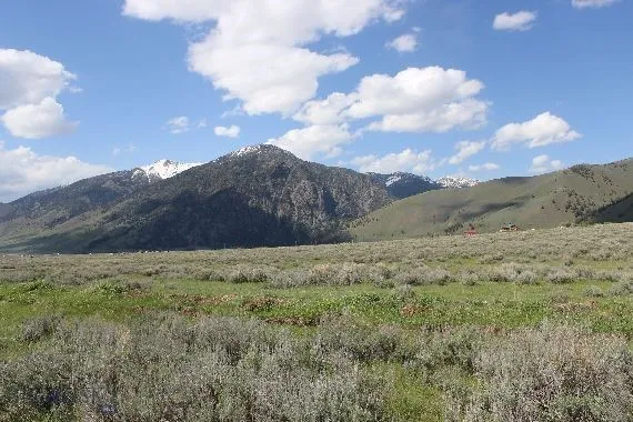 Parcel A55 Sportsman's Paradise, Cameron, Montana, Cameron, Montana 59720, ,Land,For Sale,Parcel A55 Sportsman's Paradise, Cameron, Montana ,0,405481