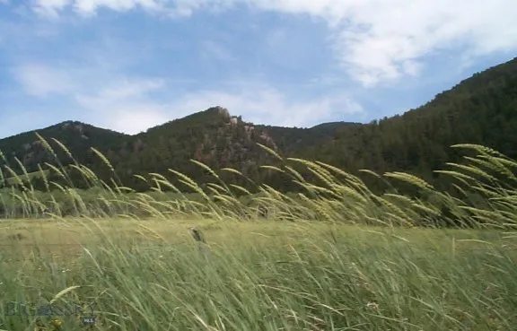 Parcel A55 Sportsman's Paradise, Cameron, Montana, Cameron, Montana 59720, ,Land,For Sale,Parcel A55 Sportsman's Paradise, Cameron, Montana ,0,405481