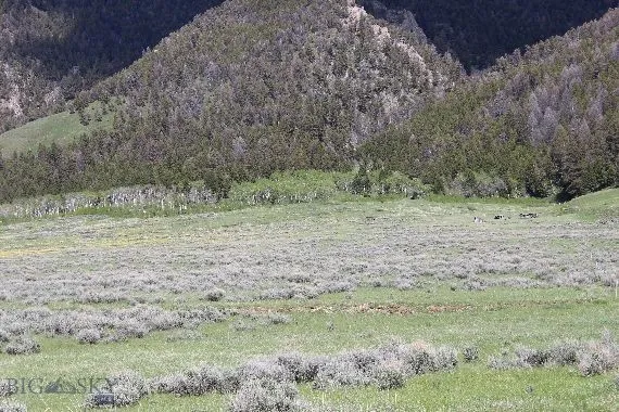 Parcel A55 Sportsman's Paradise, Cameron, Montana, Cameron, Montana 59720, ,Land,For Sale,Parcel A55 Sportsman's Paradise, Cameron, Montana ,0,405481