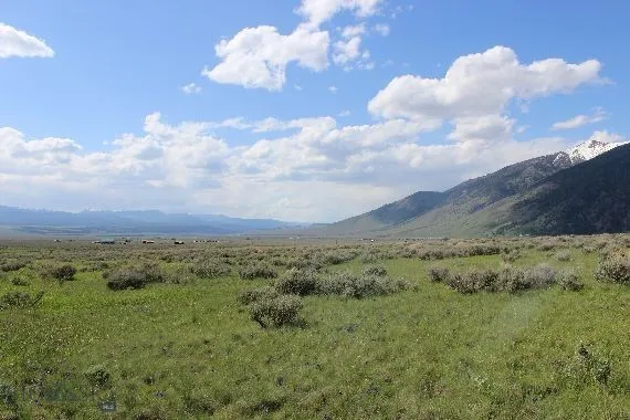 Parcel A55 Sportsman's Paradise, Cameron, Montana, Cameron, Montana 59720, ,Land,For Sale,Parcel A55 Sportsman's Paradise, Cameron, Montana ,0,405481