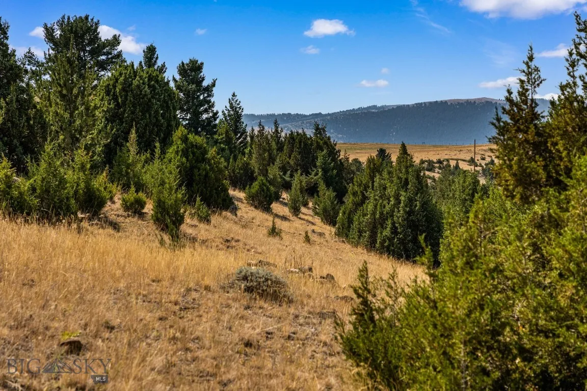 474 Johnson Road, Pony, Montana 59747, Pony, Montana 59747, 5 Bedrooms Bedrooms, ,5 BathroomsBathrooms,Residential,For Sale,474 Johnson Road, Pony, Montana 59747,0,405544