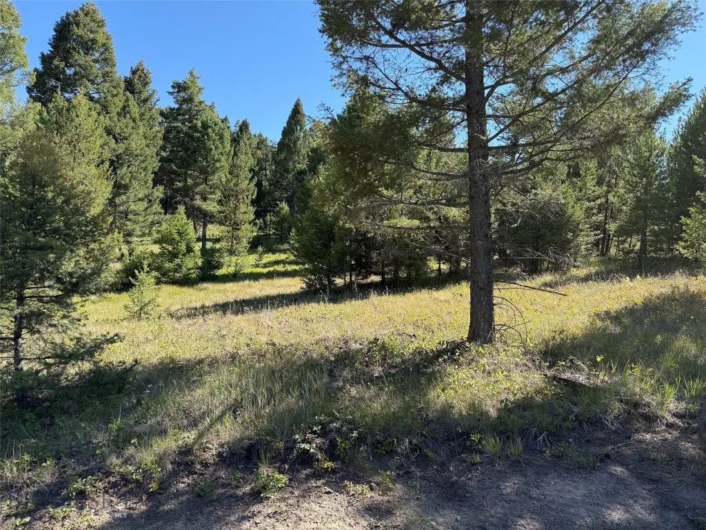 Tbd A&b Chimney Lakes Road, Helmville, Montana, Helmville, Montana 59843, ,Land,For Sale,Tbd A&b Chimney Lakes Road, Helmville, Montana,0,405619