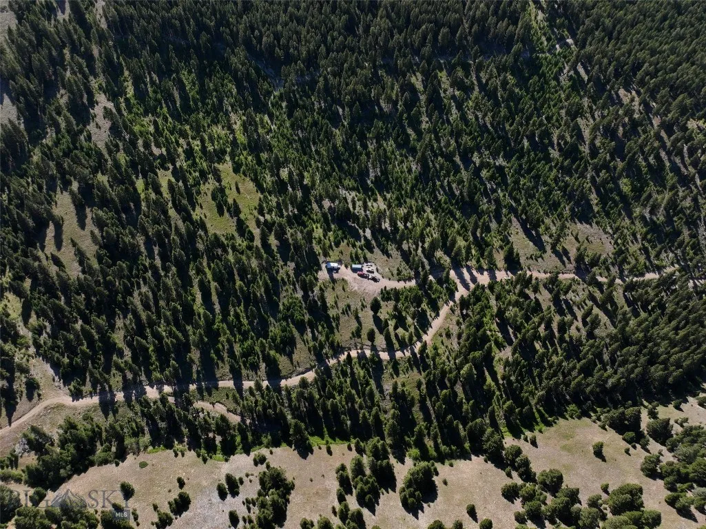 Tbd A&b Chimney Lakes Road, Helmville, Montana, Helmville, Montana 59843, ,Land,For Sale,Tbd A&b Chimney Lakes Road, Helmville, Montana,0,405619