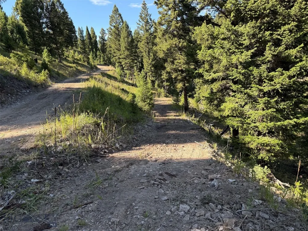 Tbd A&b Chimney Lakes Road, Helmville, Montana, Helmville, Montana 59843, ,Land,For Sale,Tbd A&b Chimney Lakes Road, Helmville, Montana,0,405619