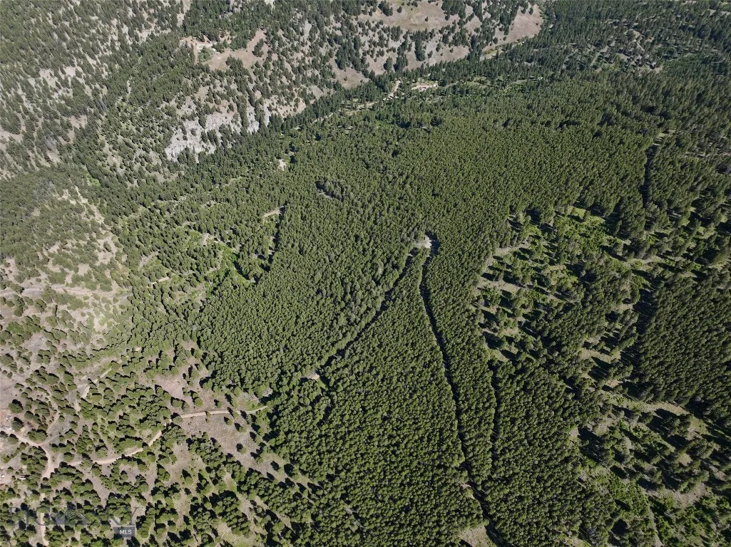 Tbd A&b Chimney Lakes Road, Helmville, Montana, Helmville, Montana 59843, ,Land,For Sale,Tbd A&b Chimney Lakes Road, Helmville, Montana,0,405619