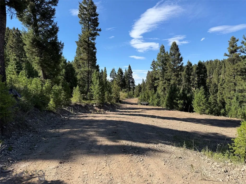 Tbd A&b Chimney Lakes Road, Helmville, Montana, Helmville, Montana 59843, ,Land,For Sale,Tbd A&b Chimney Lakes Road, Helmville, Montana,0,405619